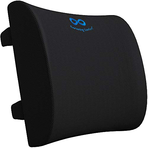Everlasting Comfort Lumbar Support Pillow